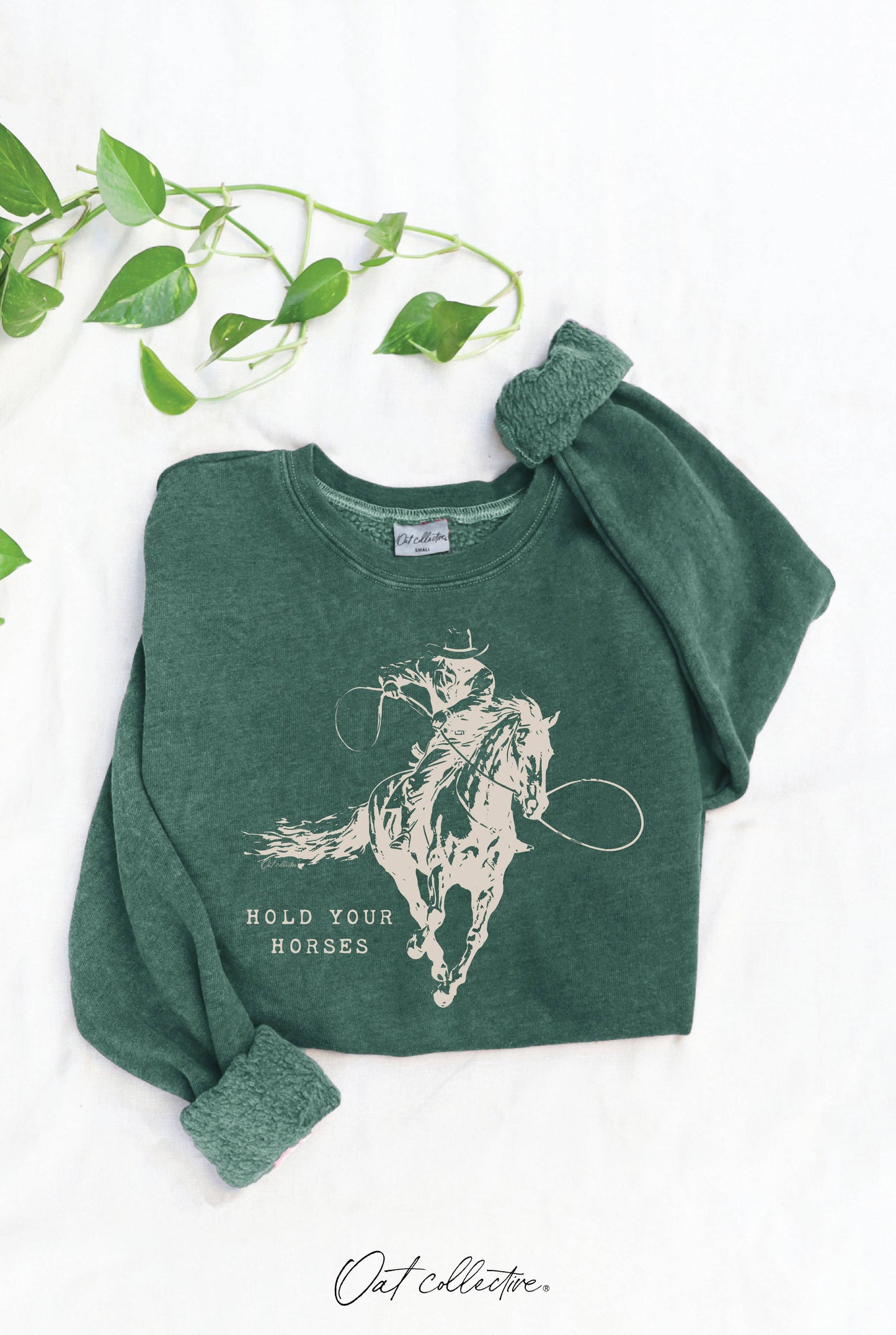 HOLD YOUR HORSES Mineral Graphic Sweatshirt