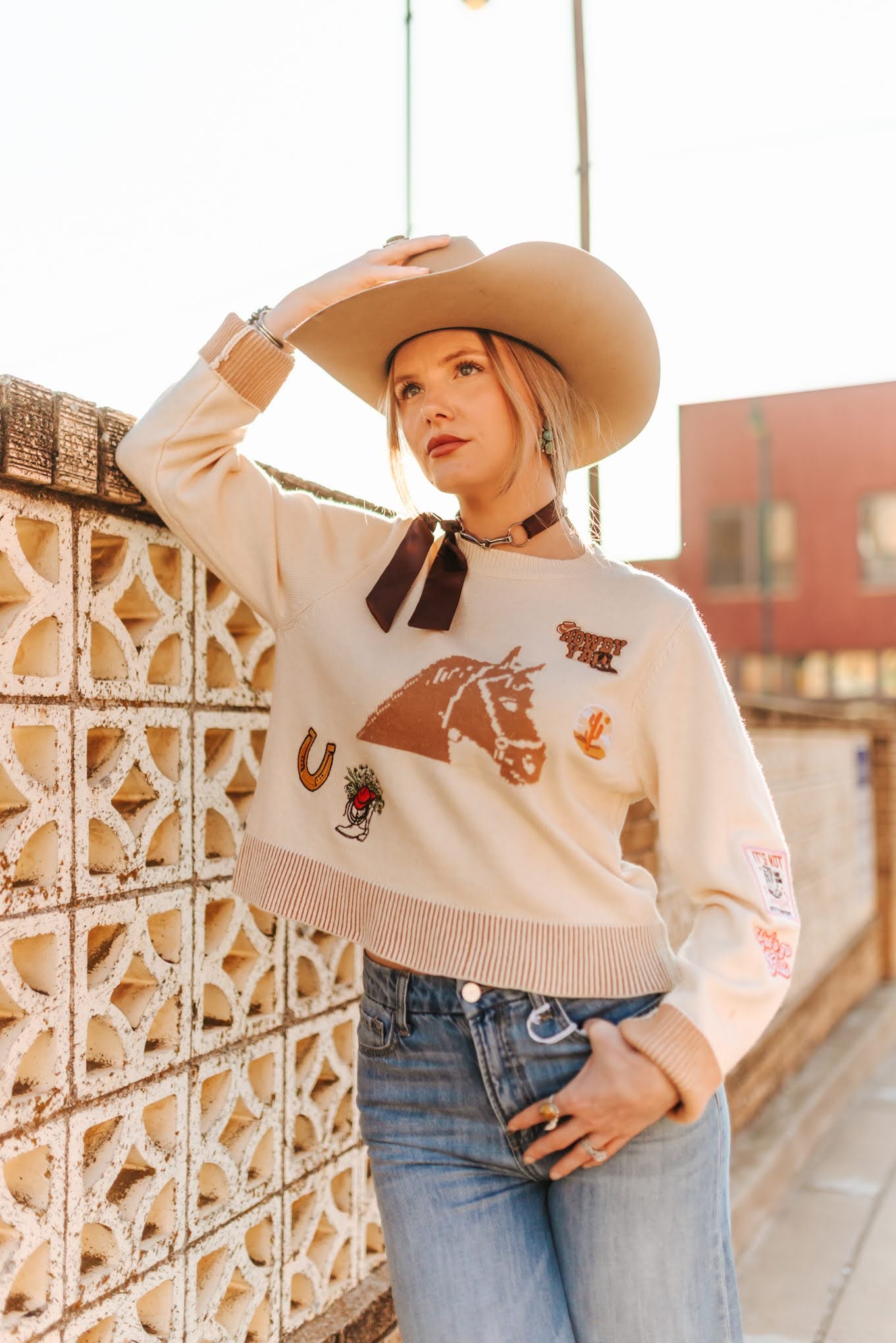 Horse Graphic Western Patch Sweater